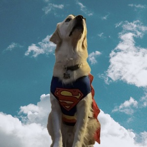 Fundraising Page: Lyndon Cook